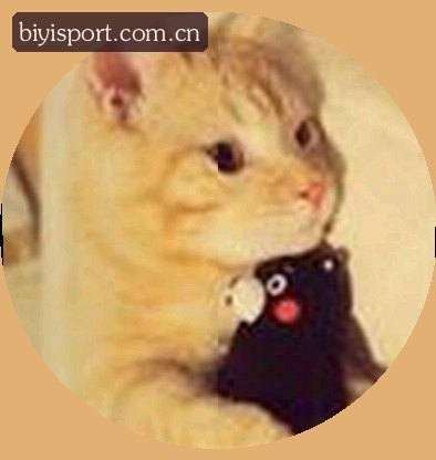 郑宇